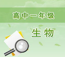 高中一年級(jí)生物